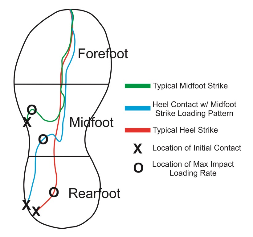 Image result for midfoot