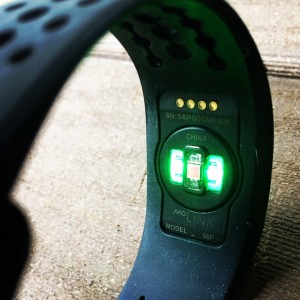 Mio-Link-Lights.jpg