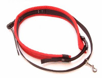 Hands-Free Dog Leash for Running: Any Recommendations?