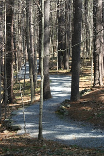 NH New Hampshire trail