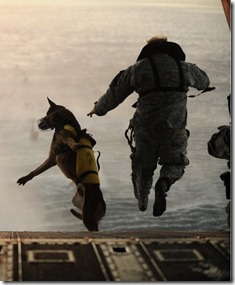Soldier Dog Vibrams