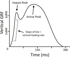 Vertical GRF Heel