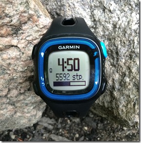 Garmin Forerunner 15