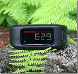 Garmin Vivofit