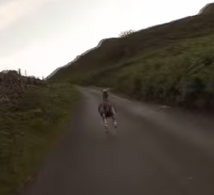 Friday Fun: A Crazy Fast Sheep