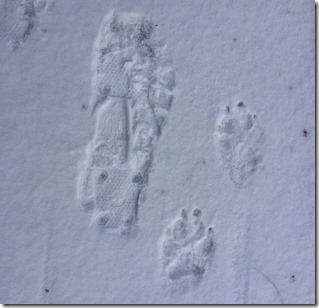 Me Jack Footprints