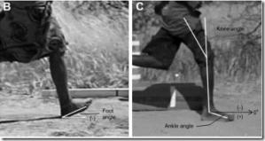 Foot Strike Patterns During Barefoot and Minimally Shod Running in Hadza Hunter-Gatherers