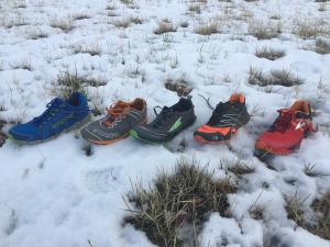 Trail Shoe Review Roundup: Montrail Fluid Flex ST, Scarpa TRU, Altra Superior 2.0, North Face Ultra MT, Brooks Cascadia 10