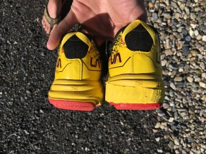 Protective Trail Shoe Review Roundup 2016: Montrail Trans Alps, La ...